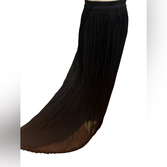 NWOT 90s SHEER BLACK BOHO GYPSY MICRO PLEATED LINED MAXI SKIRT AMANDA SMITH SZ L - Picture 6 of 7